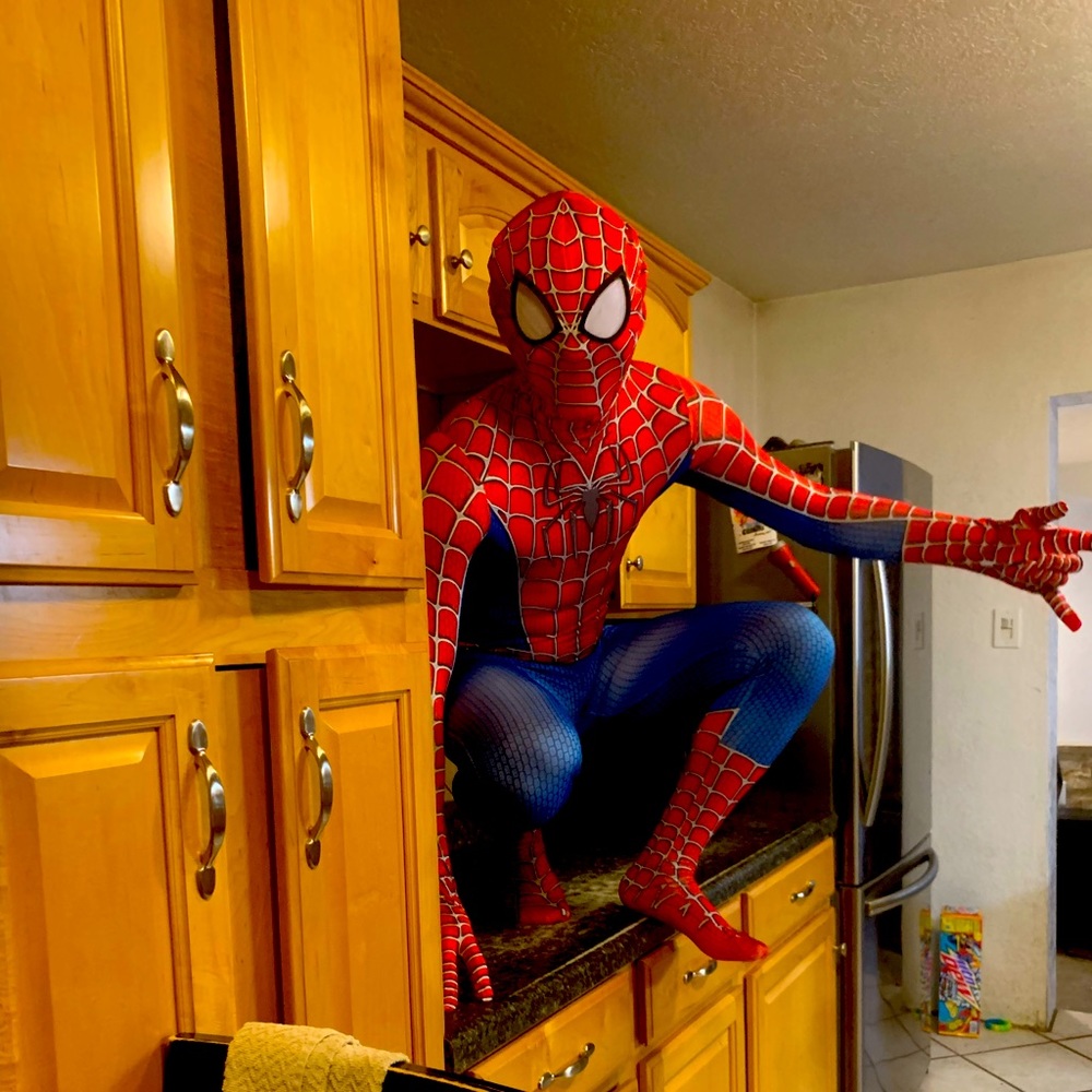 Adult size Large Spider-Man costume.